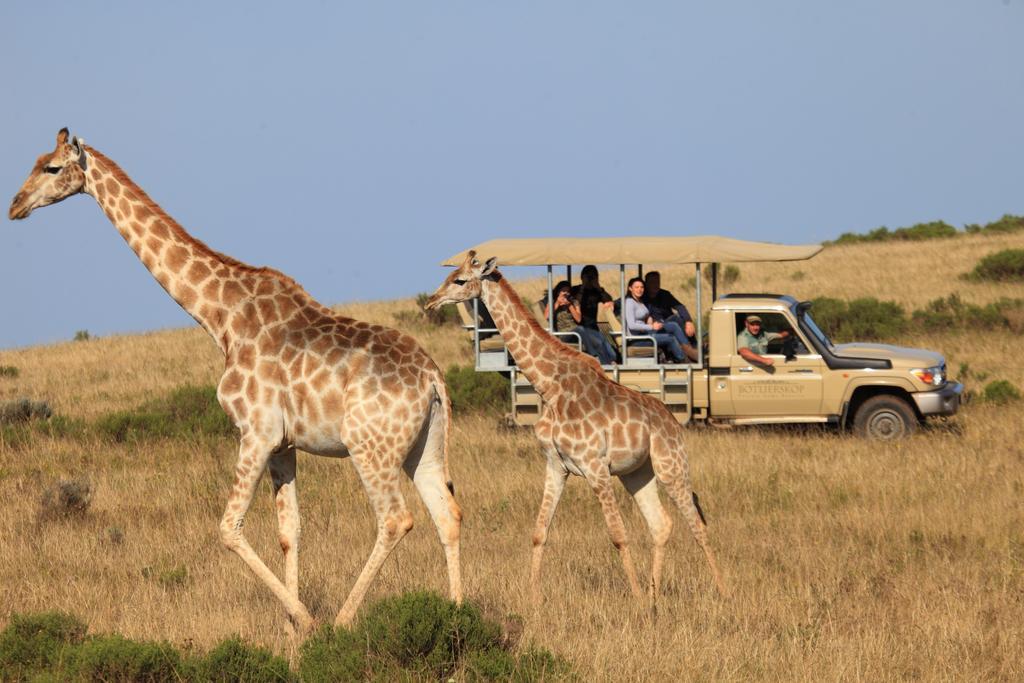 Botlierskop Bush Villas Sandhoogte Exterior photo