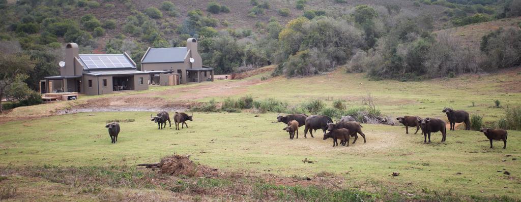 Botlierskop Bush Villas Sandhoogte Exterior photo