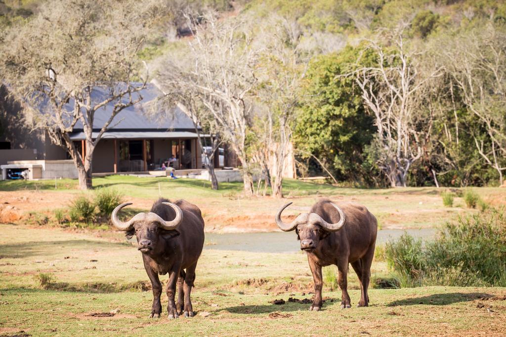 Botlierskop Bush Villas Sandhoogte Exterior photo