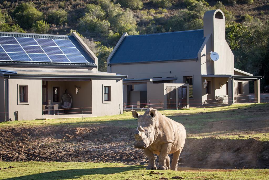 Botlierskop Bush Villas Sandhoogte Exterior photo