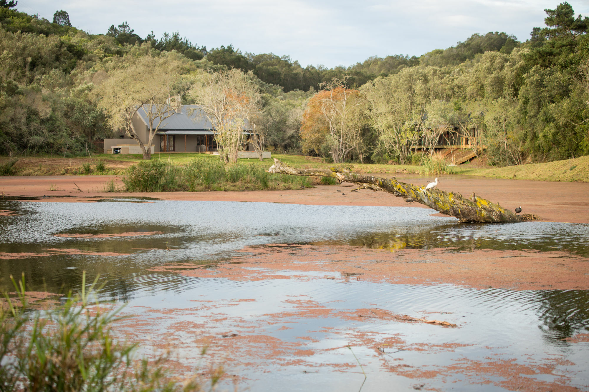 Botlierskop Bush Villas Sandhoogte Exterior photo